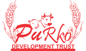 Purko Logo 1